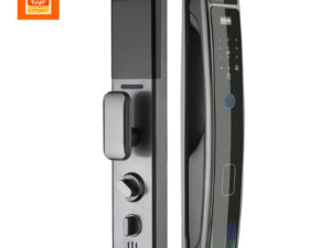 DF12 Basic Smart Door Lock WI-Fi MultiAuth